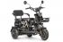 Электротрицикл Wanshida UN MOTO 60V 650Вт